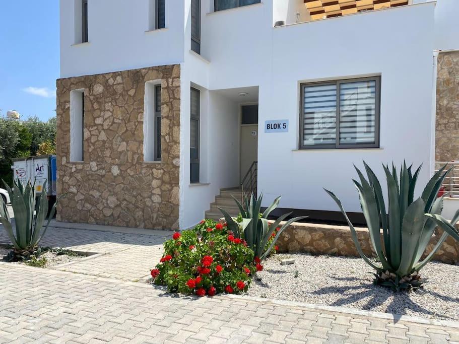 Girne/Zeytinlik 2+1 Muhtesem Terasli Daire Exteriör bild